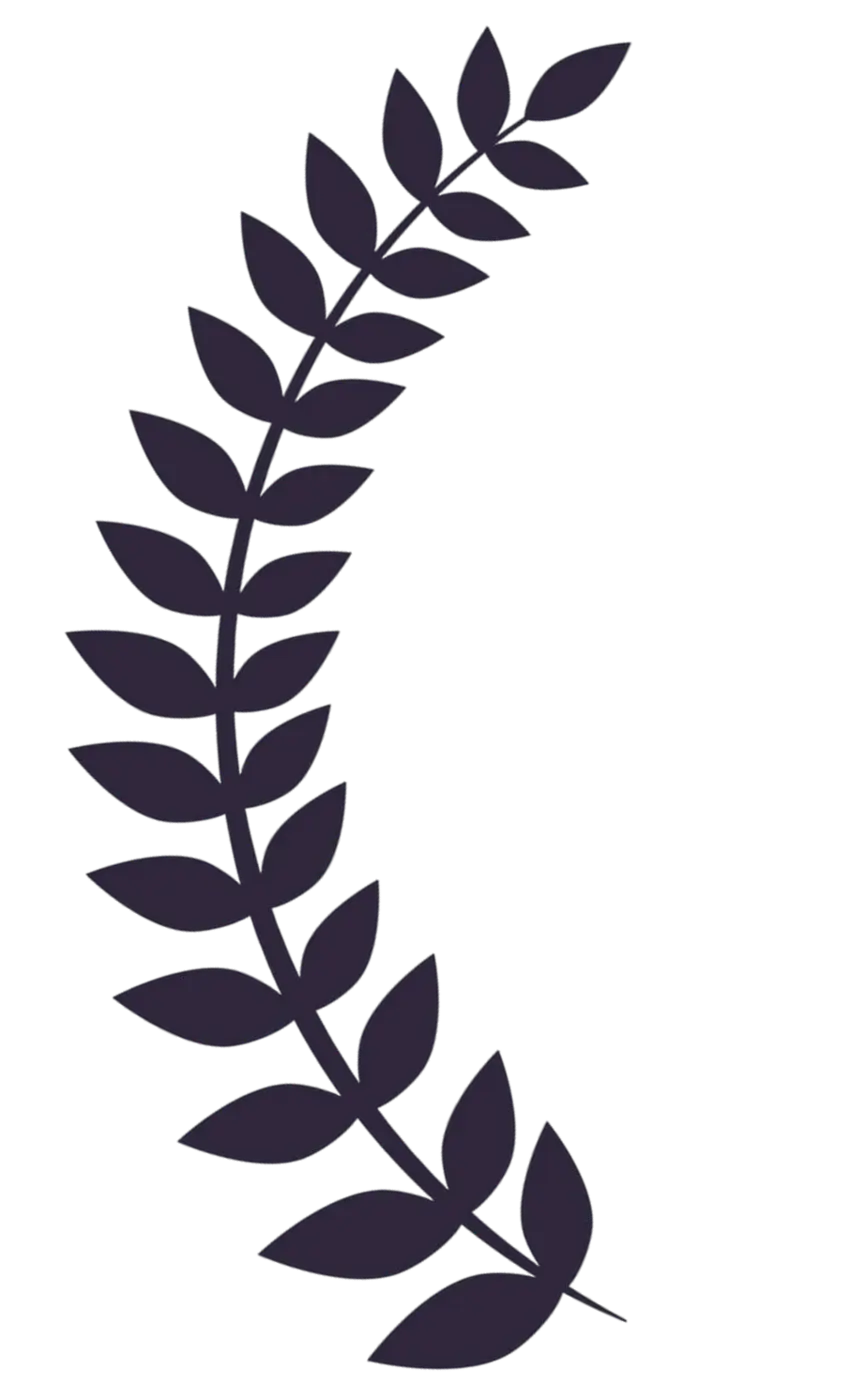 Foglia di alloro decorativa sinistra